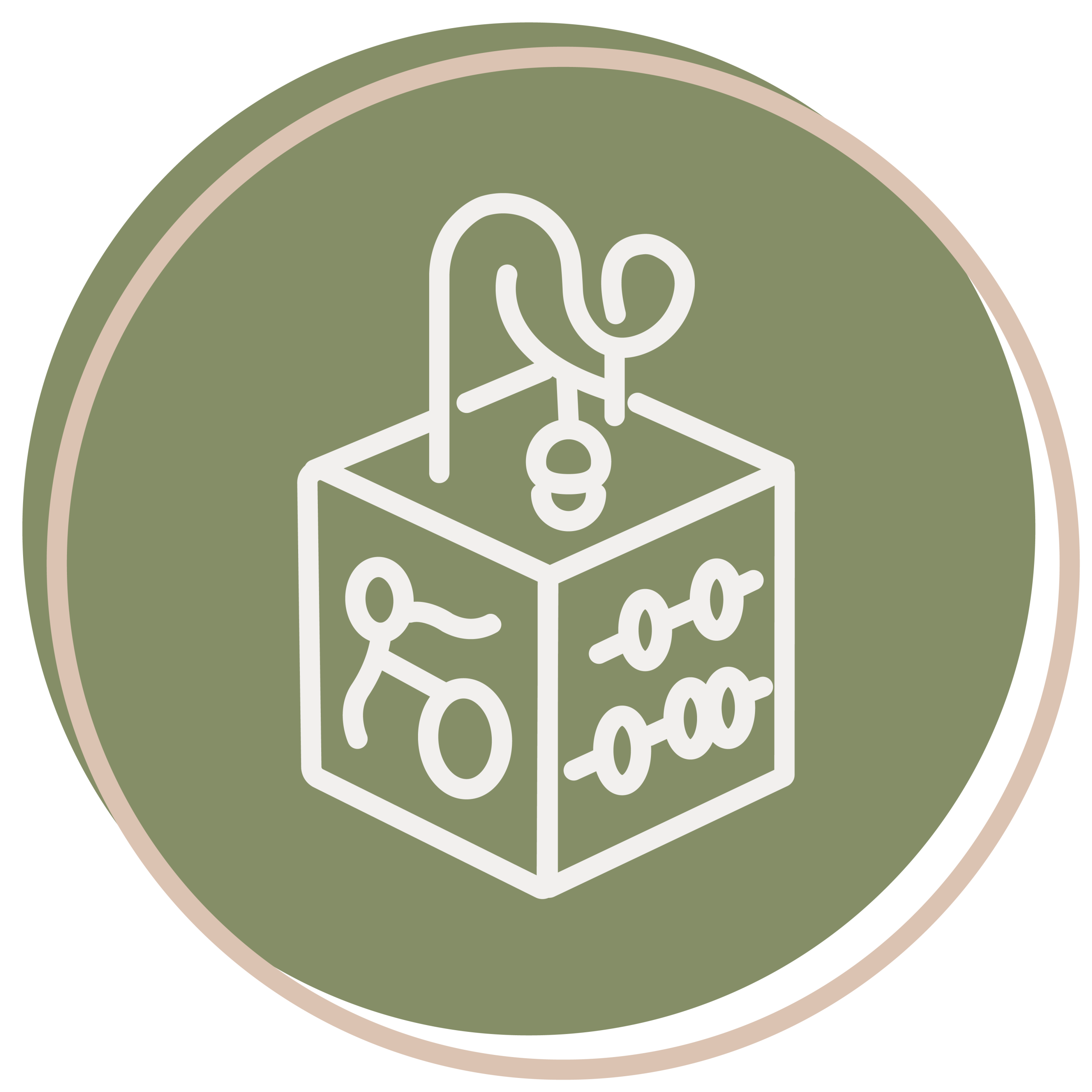 A green circle icon with a beige border, featuring a white line drawing of a sensory toy cube with beads and wire maze elements, represents Hill Country ELC.